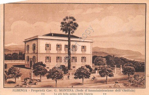 Cartolina - Postcard - Illustrata - Albenga - Oleificio Montina … | Immagine principale