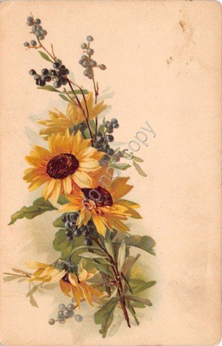 Cartolina - Postcard - Illustrata - Augurale - Girasole - … | Immagine principale