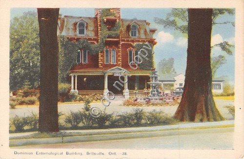 Cartolina - Postcard - Illustrata - Belleville - Ontario - …