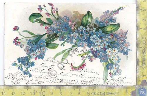 Cartolina - Postcard - Illustrata - Fiori - 1903 | Immagine principale