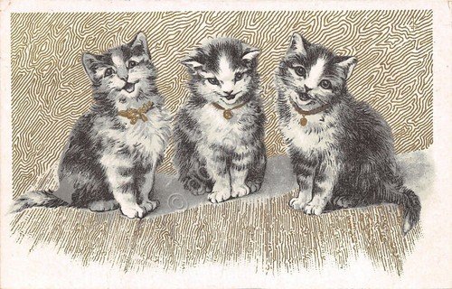 Cartolina - Postcard - Illustrata - Gatti - Au bon …