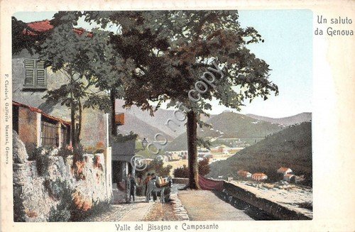 Cartolina - Postcard - Illustrata - Genova - Valle del …