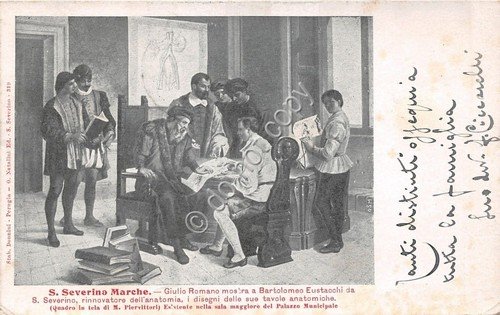 Cartolina - Postcard - Illustrata - S. Severino Marche - … | Immagine principale