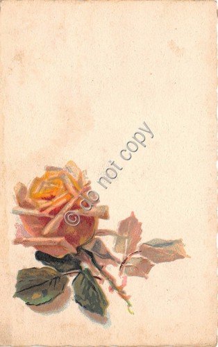 Cartolina - Postcard - Illustrata Augurale Rosa anni '30 VG | Immagine principale
