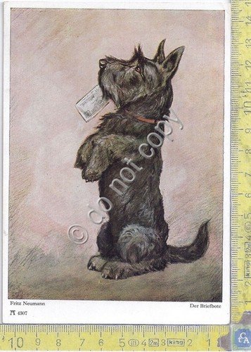 Cartolina - Postcard - Illustrata Neumann - dog - anni …