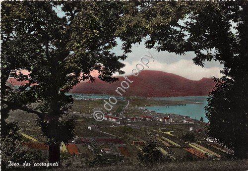Cartolina - Postcard - Iseo Panorama dai castagneti | Immagine Gallery 1