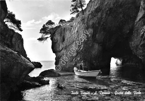 Cartolina - Postcard - Isole Tremiti - S. Domino - … | Immagine principale