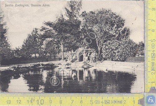 Cartolina - Postcard - Jardin Zoologico - Bueno Aires - …