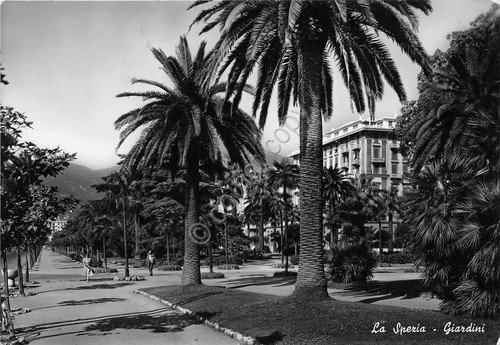 Cartolina - Postcard - La Spezia - Giardini - 1955