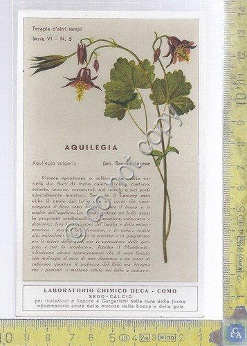 Cartolina - Postcard - Laboratorio DECA - Aquilegia -Illustrata - …