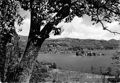 Cartolina - Postcard - Lago d' Orta - panorama - … | Immagine principale