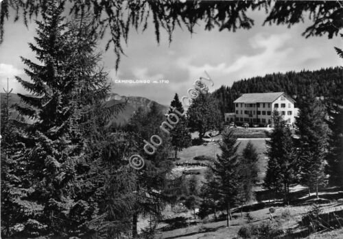 Cartolina - Postcard - Lastebasse - Albergo Fiorentini - 1963 …