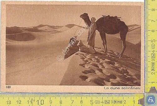 Cartolina - Postcard - Lehnert & Landrock - Africa - …