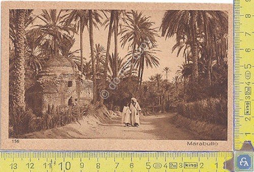 Cartolina - Postcard - Lehnert & Landrock - Africa - …