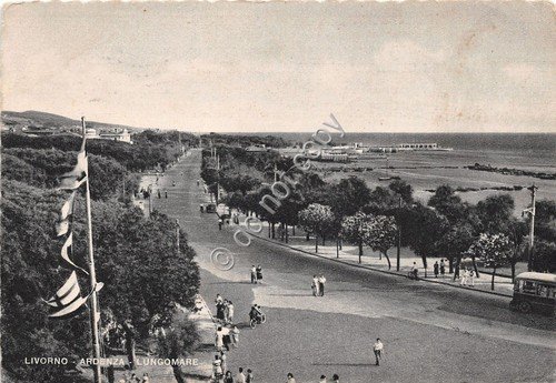 Cartolina - Postcard - Livorno - Ardenza - Lungomare - … | Immagine principale