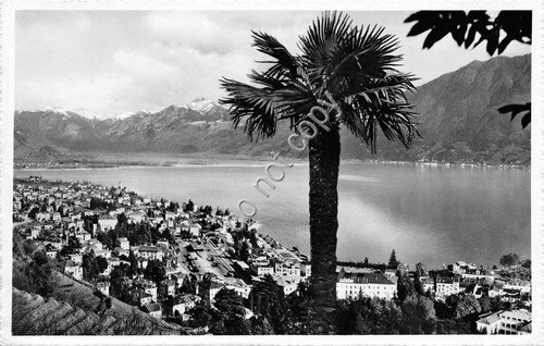 Cartolina - Postcard - Locarno - Panorama - 1953