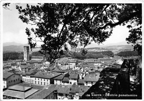 Cartolina - Postcard - Lucca - Panorama - 1957
