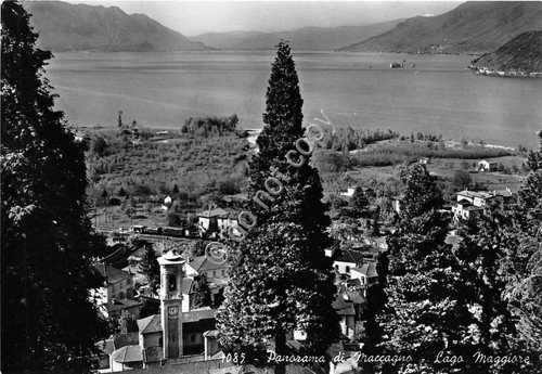 Cartolina - Postcard - Maccagno Lago Maggiore panorama