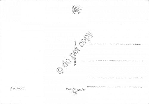 Cartolina - Postcard - Maccagno Lago Maggiore panorama