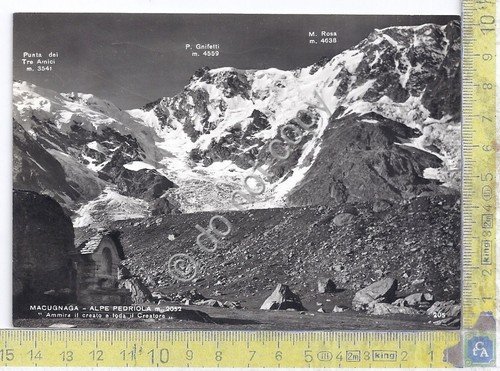 Cartolina - Postcard - Macugnaga - Alpe Pedriola - 1963