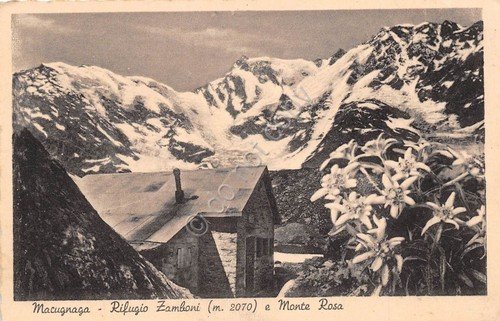 Cartolina - Postcard - Macugnaga - Rifugio Zamboni - Monte …