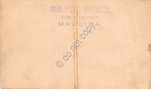 Cartolina - Postcard - Madeira - carrozza slitta trainata bue … | Immagine Gallery 2