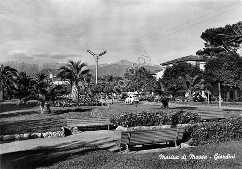 Cartolina - Postcard - Marina di Massa - Giardini - … | Immagine principale