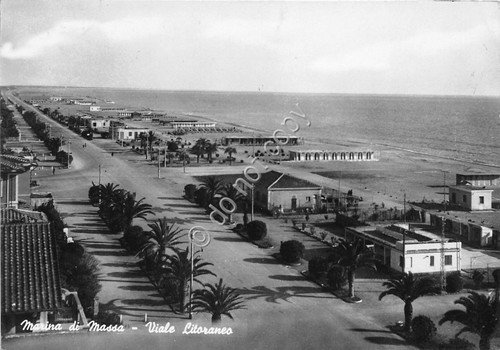 Cartolina - Postcard - Marina di Massa - Viale Litoraneo … | Immagine principale