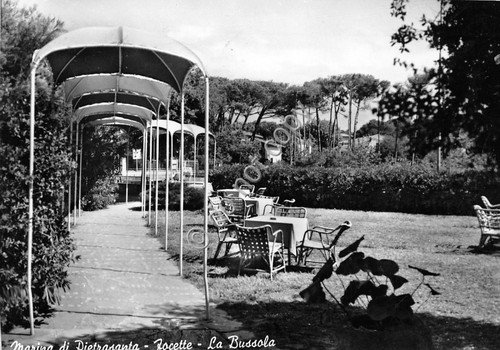 Cartolina - Postcard - Marina di Pietrasanta - Focette - …