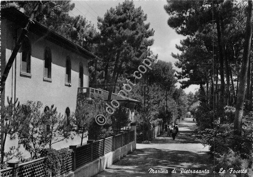 Cartolina - Postcard - Marina di Pietrasanta - Le Focette …