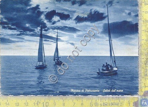 Cartolina - Postcard - Marina di Pietrasanta - Saluti dal …