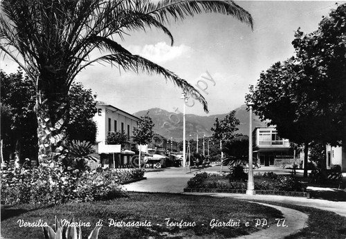 Cartolina - Postcard - Marina di Pietrasanta - Tonfano - … | Immagine principale