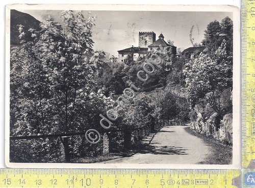Cartolina - Postcard - Merano - Castel Torre - 1955 | Immagine principale