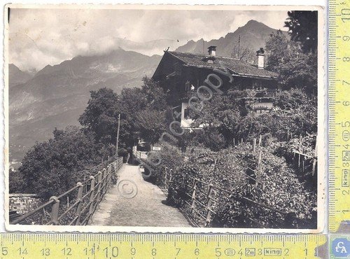 Cartolina - Postcard - Merano - Passeggiata Tappeiner - 1952 | Immagine principale