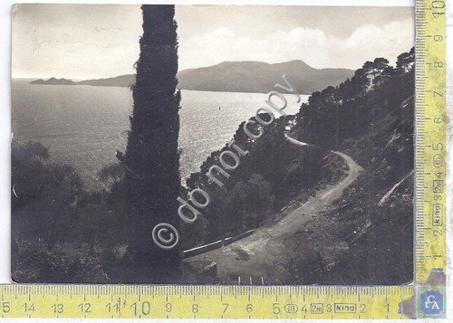 Cartolina - Postcard - Messina - Panorama - Strada Costiera …