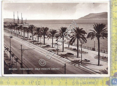 Cartolina - Postcard - Messina - Passeggiata - Viale Principe … | Immagine principale