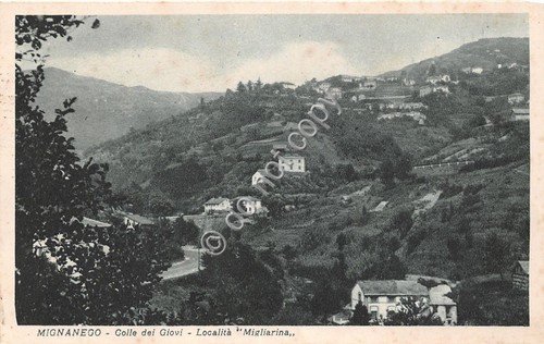 Cartolina - Postcard - Mignanego - Migliarina - Panorama - … | Immagine principale