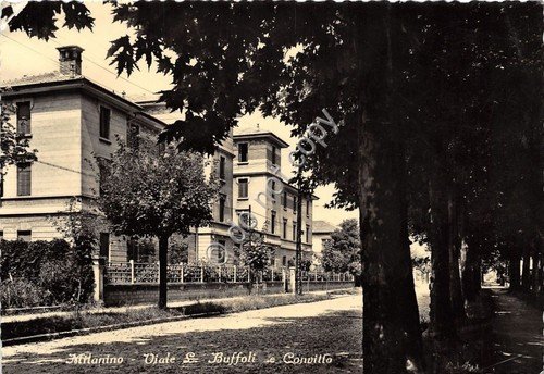 Cartolina - Postcard - Milanino - Viale Buffoli - Convitto …