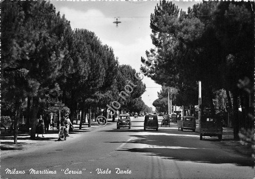 Cartolina - Postcard - Milano Marittima - Viale Dante - …