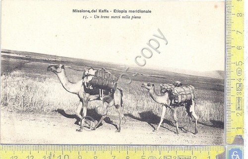 Cartolina - Postcard - Missione del Kaffa - Etiopia Meridionale … | Immagine principale