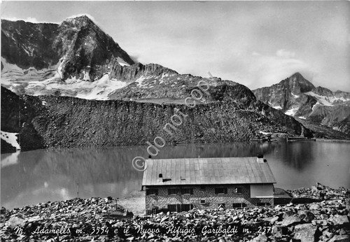 Cartolina - Postcard - Monte Adamenllo - Rifugio Garibaldi - … | Immagine principale