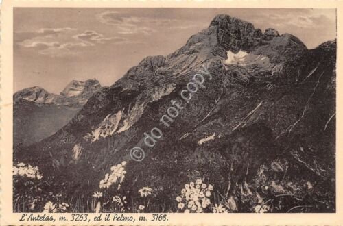 Cartolina - Postcard - Monte Antelao - Monte Pelmo - …