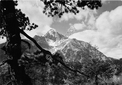 Cartolina - Postcard - Monte Chaberton - 1955 | Immagine principale