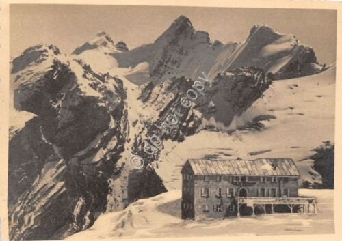 Cartolina - Postcard - Monte Livrio - Cima Trafoi - …