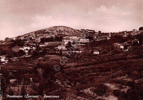 Cartolina - Postcard - Montenero - Panorama - 1951 - … | Immagine principale