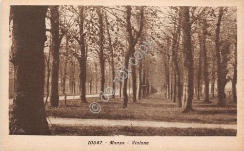 Cartolina - Postcard - Monza - Vialone - 1900 circa