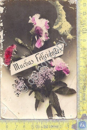 Cartolina - Postcard - Muchas Filicidades - 1916 (Illustratori)