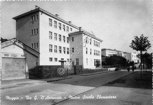 Cartolina - Postcard - Muggia - Via D'Annunzio - Scuola …