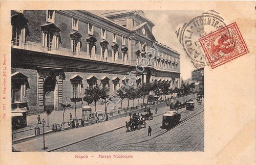 Cartolina - Postcard - Napoli - Museo Nazionale - Animata …