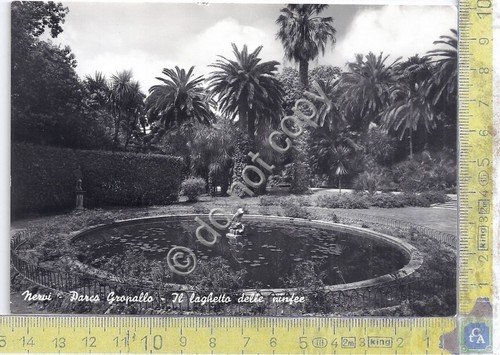 Cartolina - Postcard - Nervi - Parco Gropallo - anni …